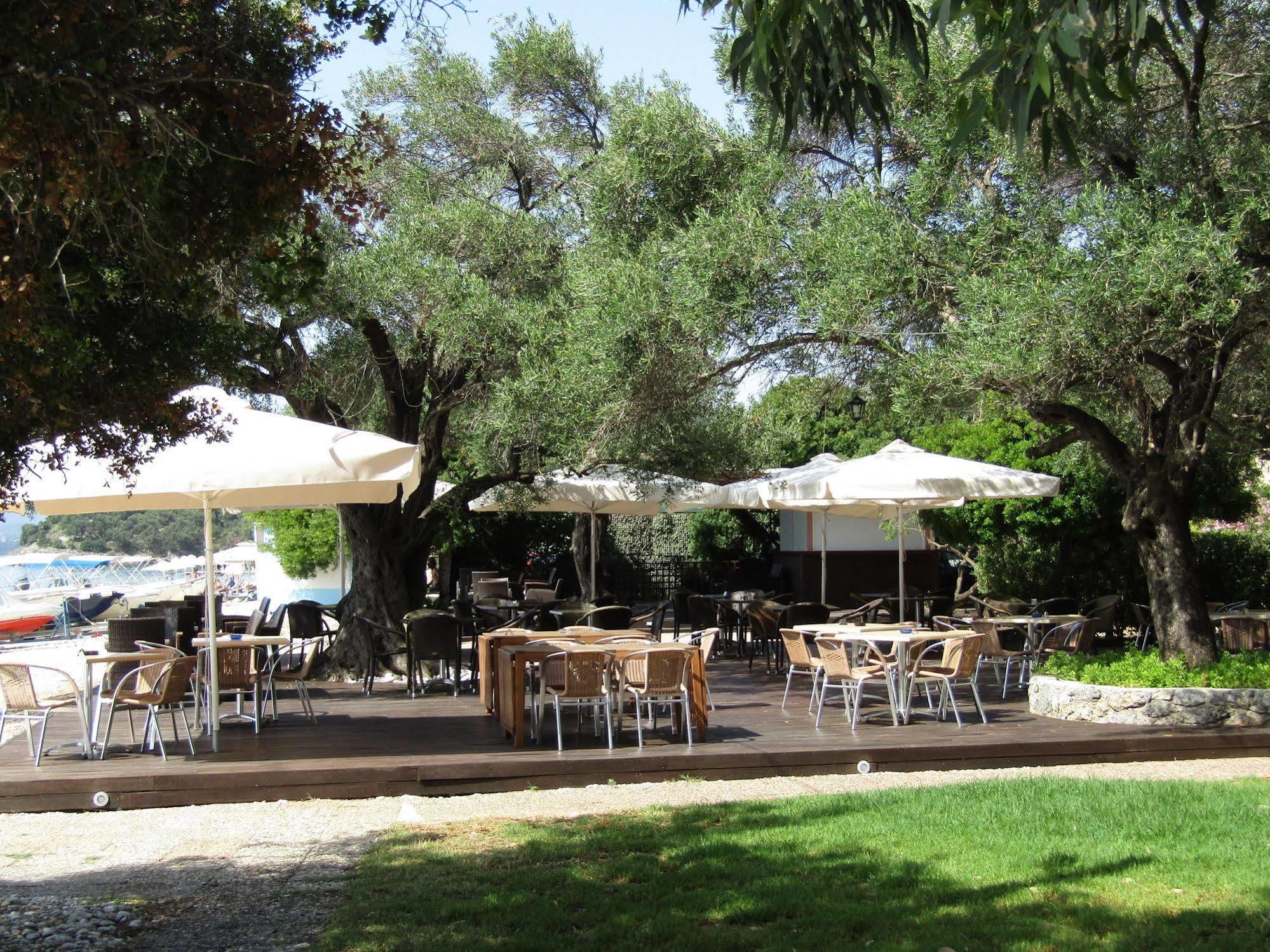 Barbati Beach Holiday Apartment, Corfu,Greece Eksteriør bilde