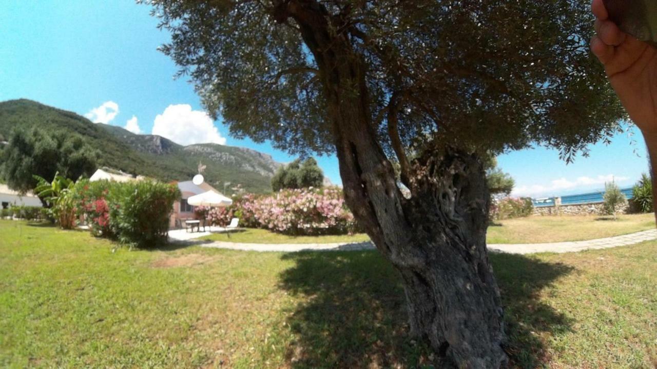 Barbati Beach Holiday Apartment, Corfu,Greece Eksteriør bilde